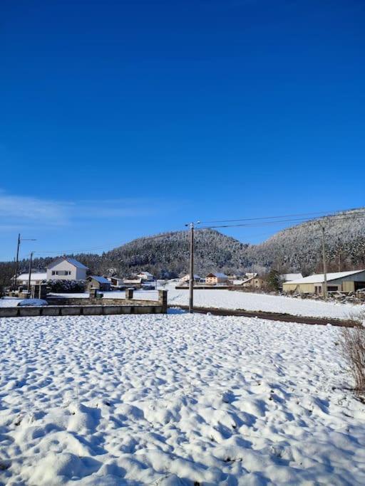 Gite Cosy Avec Avec Jardin Et Parking Privatifs - Hautes Vosges Saint-Amé Esterno foto