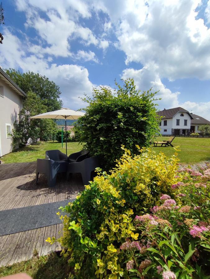 Gite Cosy Avec Avec Jardin Et Parking Privatifs - Hautes Vosges Saint-Amé Esterno foto