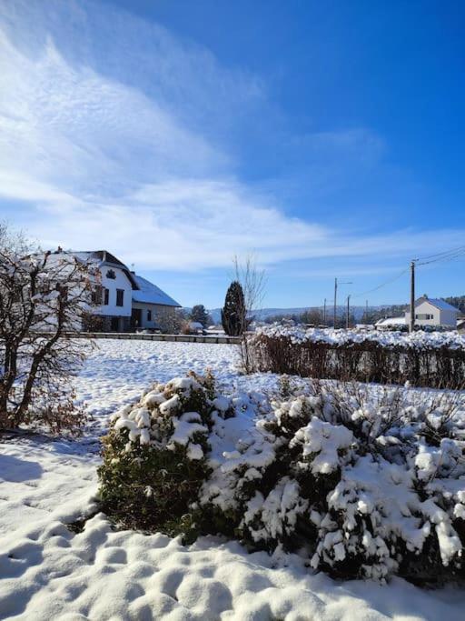 Gite Cosy Avec Avec Jardin Et Parking Privatifs - Hautes Vosges Saint-Amé Esterno foto